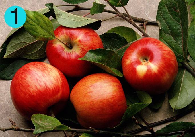 Полезные свойства яблок разных сортов при гастрите