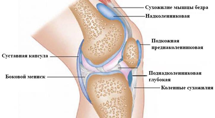Супрапателлярный бурсит коленного сустава: симптомы и лечение
