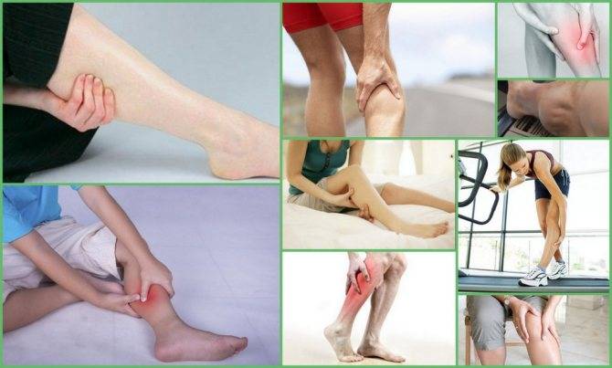 Болит нога после судороги икроножной мышцы что делать - докторский совет