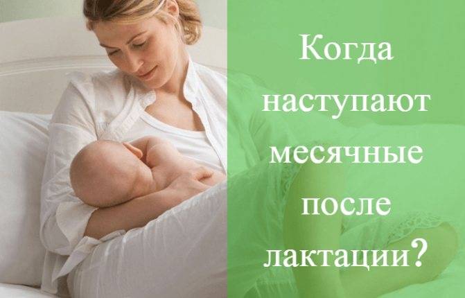 Какие первые признаки беременности у кормящей мамы при грудном вскармливании?