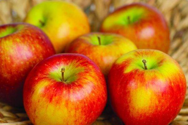 Яблоки при гастрите: особенности лечения