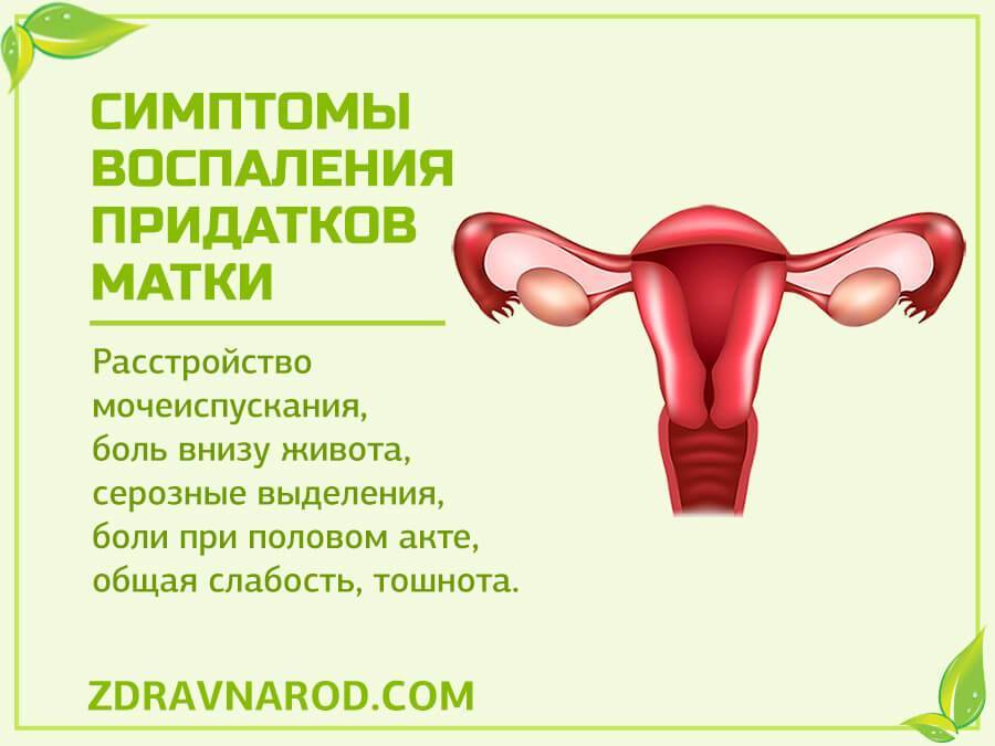 Воспаление придатков у женщин симптомы и лечение препараты