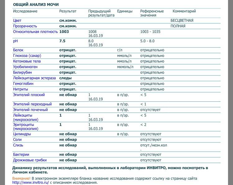 Лейкоциты в моче при беременности: причины повышенного содержания и нормы / mama66.ru