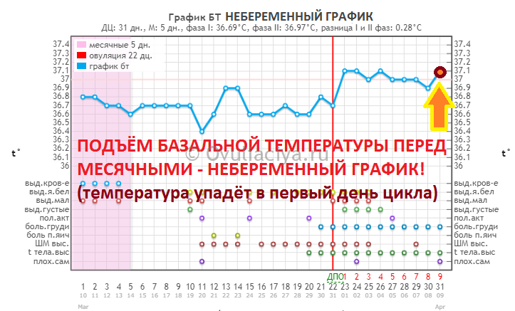 Температура через неделю 39. График базальной температуры менструационного цикла. Базальная температура 36,9 беременный график. График базальной температуры с первого дня месячных. Базальная температура перед месячными 36,2.