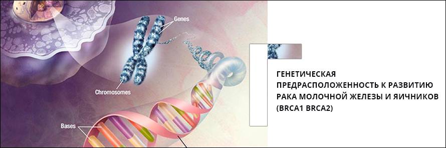 Генетические исследования: виды генетических анализов