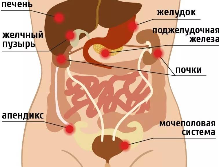Боль под левым ребром спереди возле желудка: причины, что делать