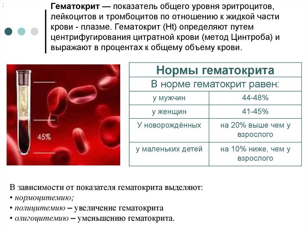 Микроцитоз в общем анализе крови