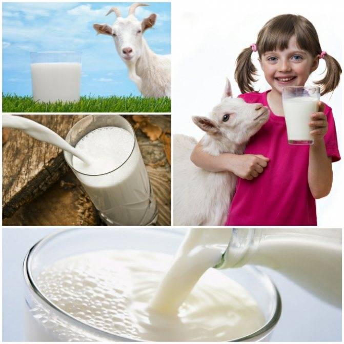Можно ли молочные продукты при гастрите