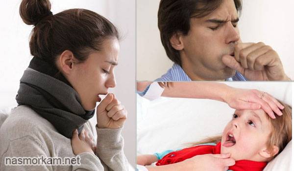 Народные средства от першения в горле и сухого кашля у взрослых и детей