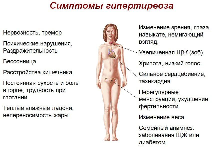 ᐉ симптомы гипотиреоза у женщин в менопаузе - sp-medic.ru