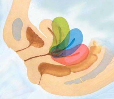 Ретрофлексия матки: симптомы и лечение