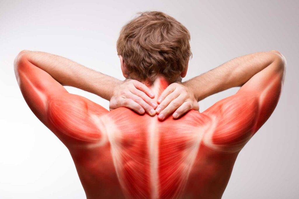 Чего не хватает в организме если сводит мышцы рук