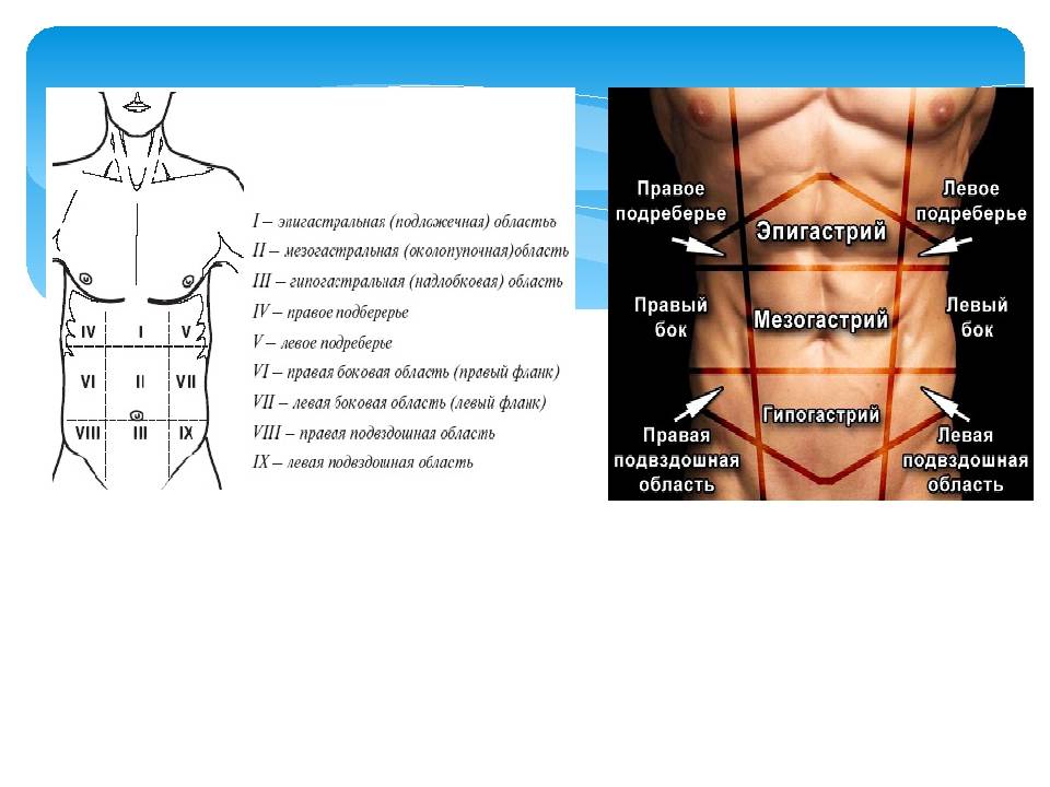 Боль под ребрами справа спереди у мужчин. Левая подреберная и эпигастральная область. Эпигастральная подложечная область болит. Что такое эпигастральная область желудка у человека. Боль в надчревной области живота.