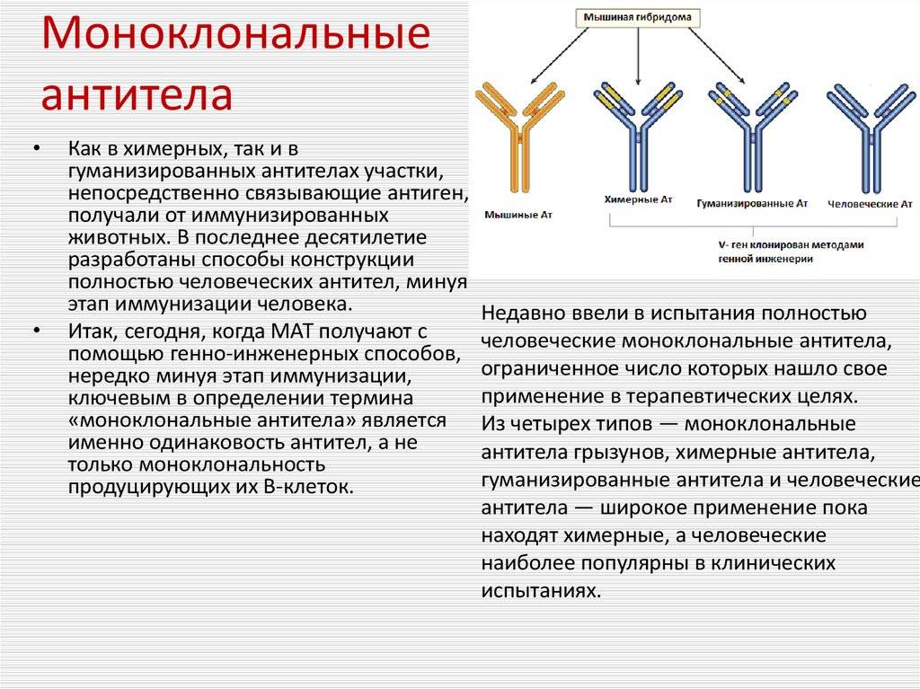 Глава 10. разработка, производство, установление характеристик и спецификации моноклональных антител и их производных | фармакопея.рф