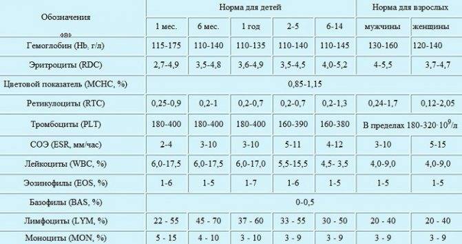 Эритроциты норма у женщин по возрасту таблица