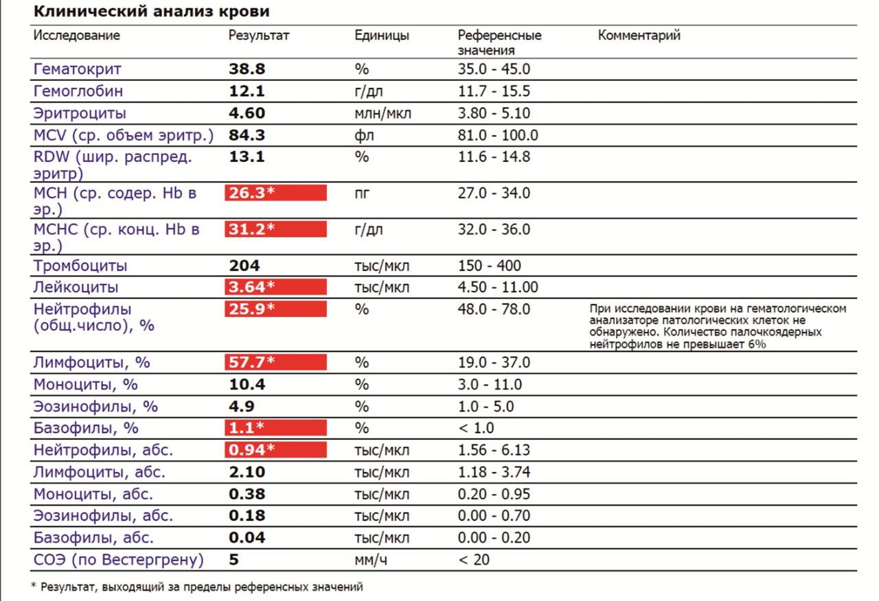 Анализ на иммуноглобулин класса а (iga): показания, расшифровка