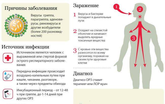 Болит ли живот при коронавирусе: симптомы заболевания
