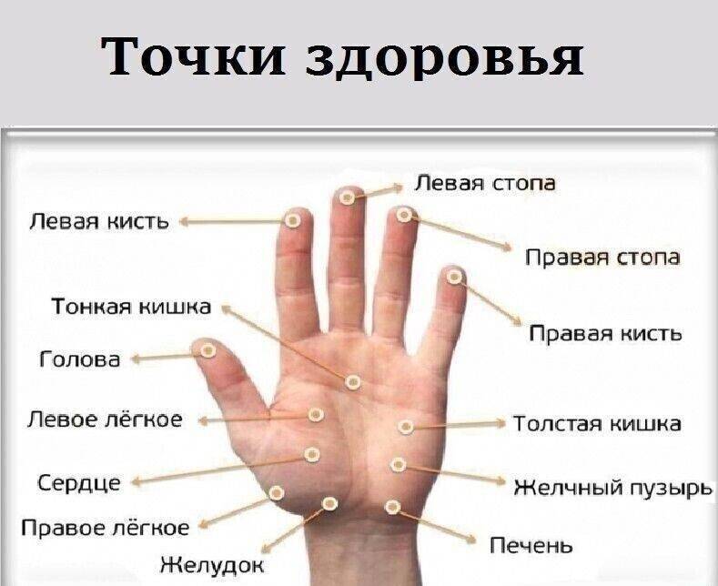 Пальцы на руках: взаимосвязь с энергетикой человека. какие пальцы на руках отвечают за психическое и эмоциональное состояние?