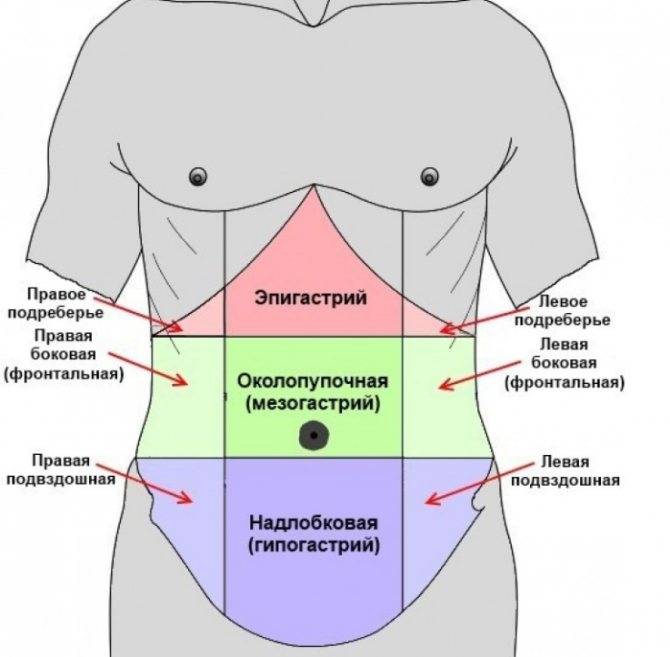 Болит в левом боку ниже ребер спереди: причины и диагностика, в животе слева вверху, дискомфорт, у женщин, в левой стороне