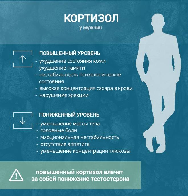 Как снизить уровень кортизола у женщин препараты - mypochki.ru
