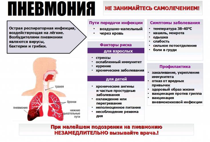 Е. комаровский: пневмония у детей, симптомы и лечение воспаления легких