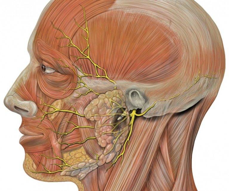 Невралгия ушного узла (нерва): причины и факторы риска, симптомы, диагностика и лечение