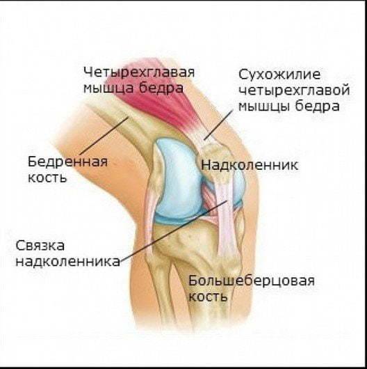 Боль в верхней части колена при сгибании и разгибании - все про суставы