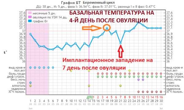 Базальная температура при овуляции (17 фото): график овуляции – как измерять бт и какая должна быть бт, если произошло оплодотворение при нормальной овуляции, как определить овуляцию по базальной температуре