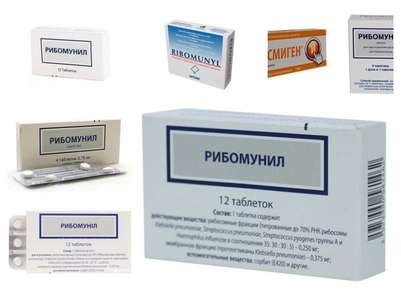 Рибомунил: инструкция по применению, аналоги и отзывы, цены в аптеках россии