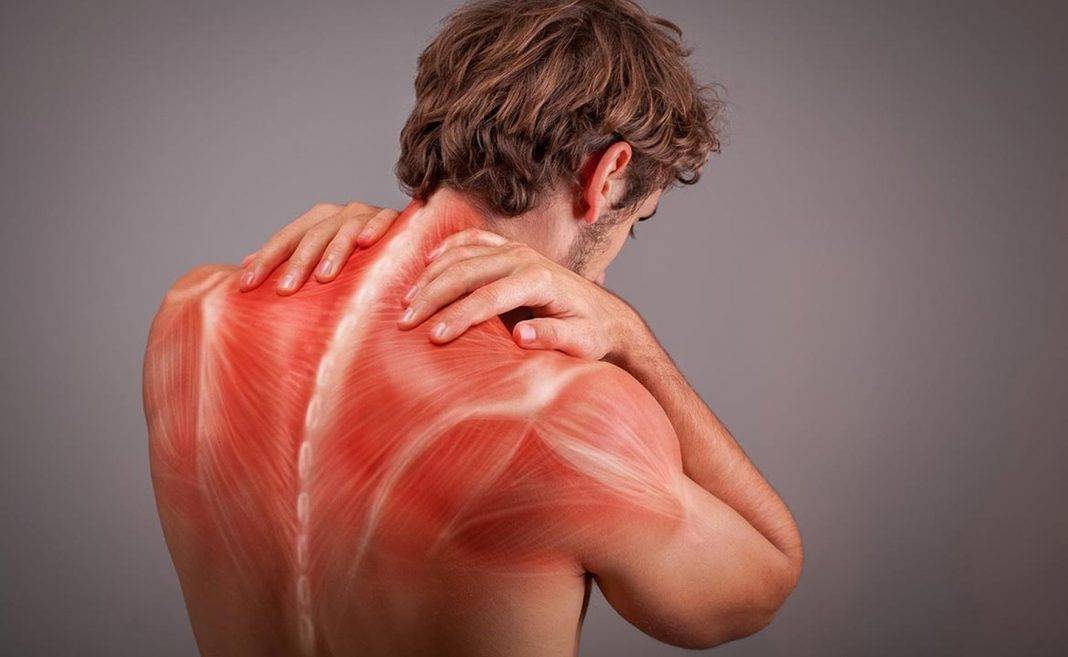 Сводит мышцы по всему телу. причины и лечение, чего не хватает в организме