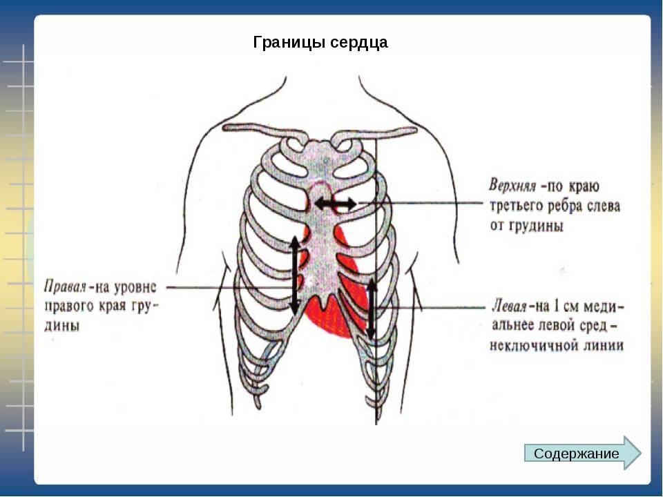 Боль в грудной клетке справа при вдохе: причины, лечение pulmono.ru
боль в грудной клетке справа при вдохе: причины, лечение
