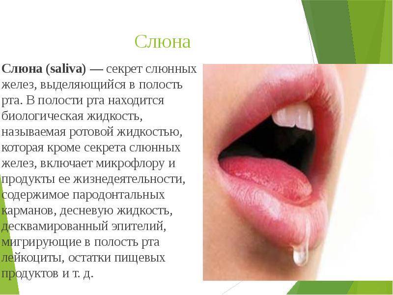 Густая слюна во рту: причины вязкой слизи в горле по утрам, лечение