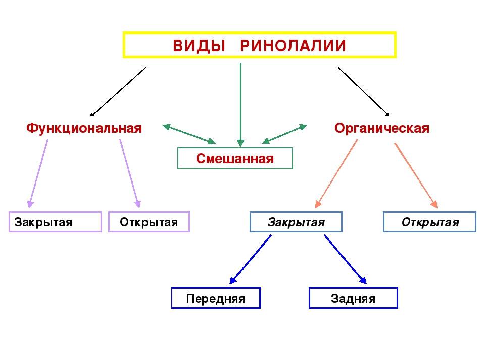 Виды расщелин при ринолалии картинки