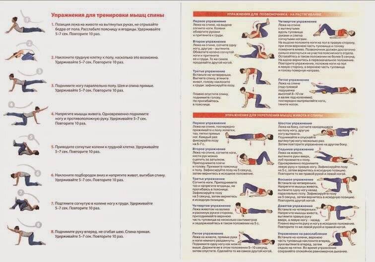 Лечебная гимнастика при остеохондрозе поясничного отдела позвоночника: упражнения, лфк, видео