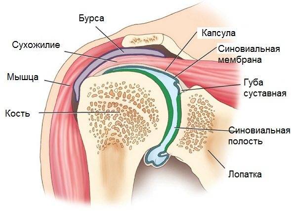 Синовит плечевого сустава фото