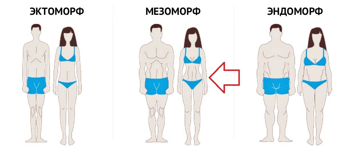 Определение типа телосложения мужчин (эктоморф, мезоморф или эндоморф) | fitbreak! всё о фитнесе и бодибилдинге