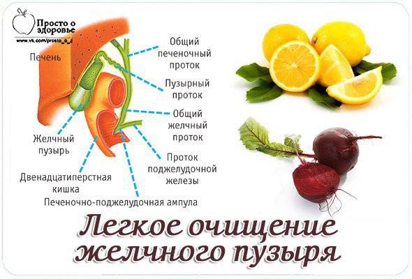 Желчегонные продукты питания при застое – список фруктов и напитков