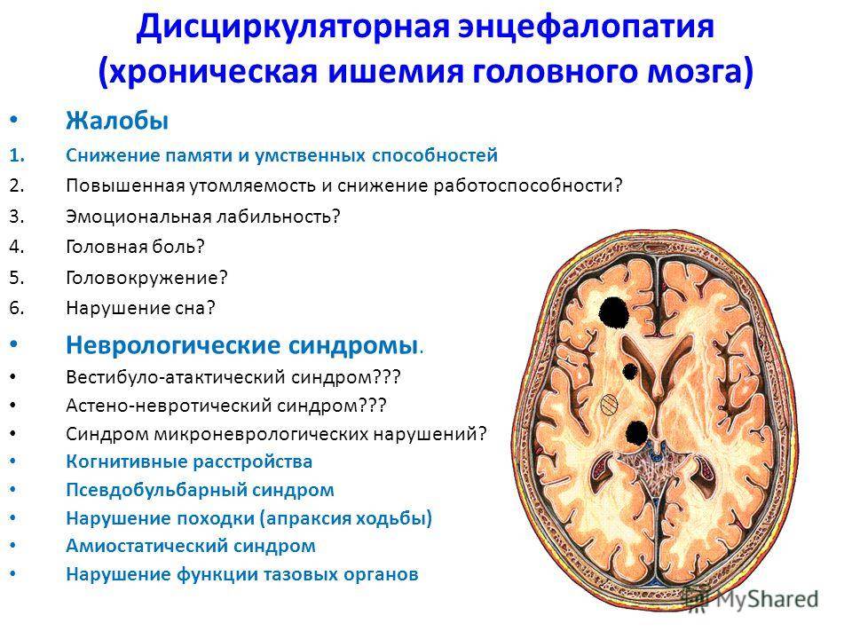 Дисциркуляторная энцефалопатия (дэп): лечение народными средствами, методы, сосудистая, головного мозга