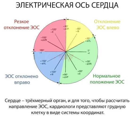 Промежуточное положение эос - кругмедика