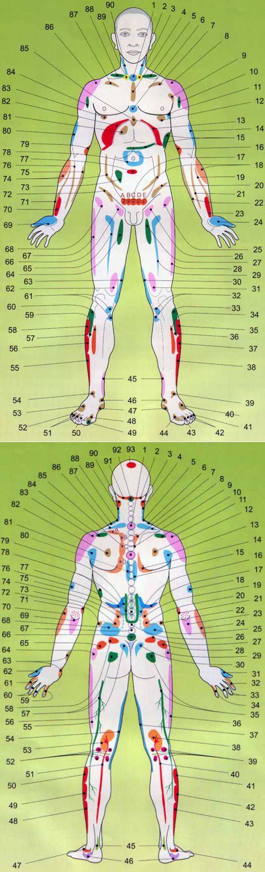 Точечный массаж активные акупунктурные точки китайской медицины на теле - атлас, схемы