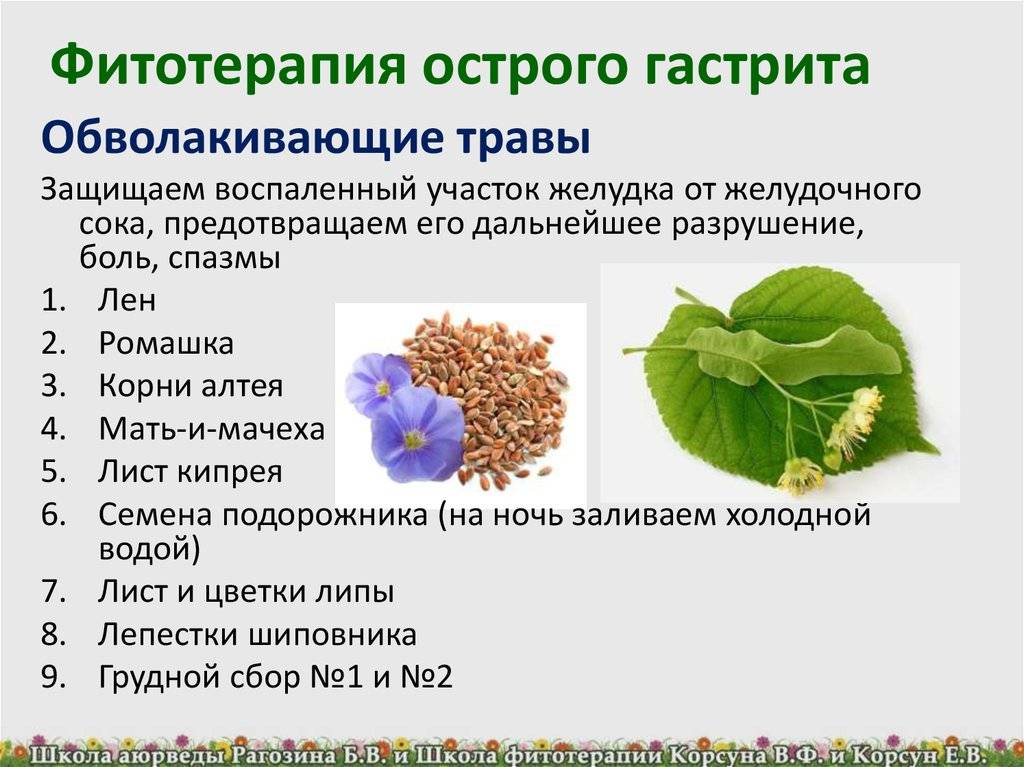 Кислотность семян льна. Лекарственные травы для кишечных расстройств. Фитотерапия для желудка. Растения лекарственные для желудка. Растения при заболеваниях ЖКТ.