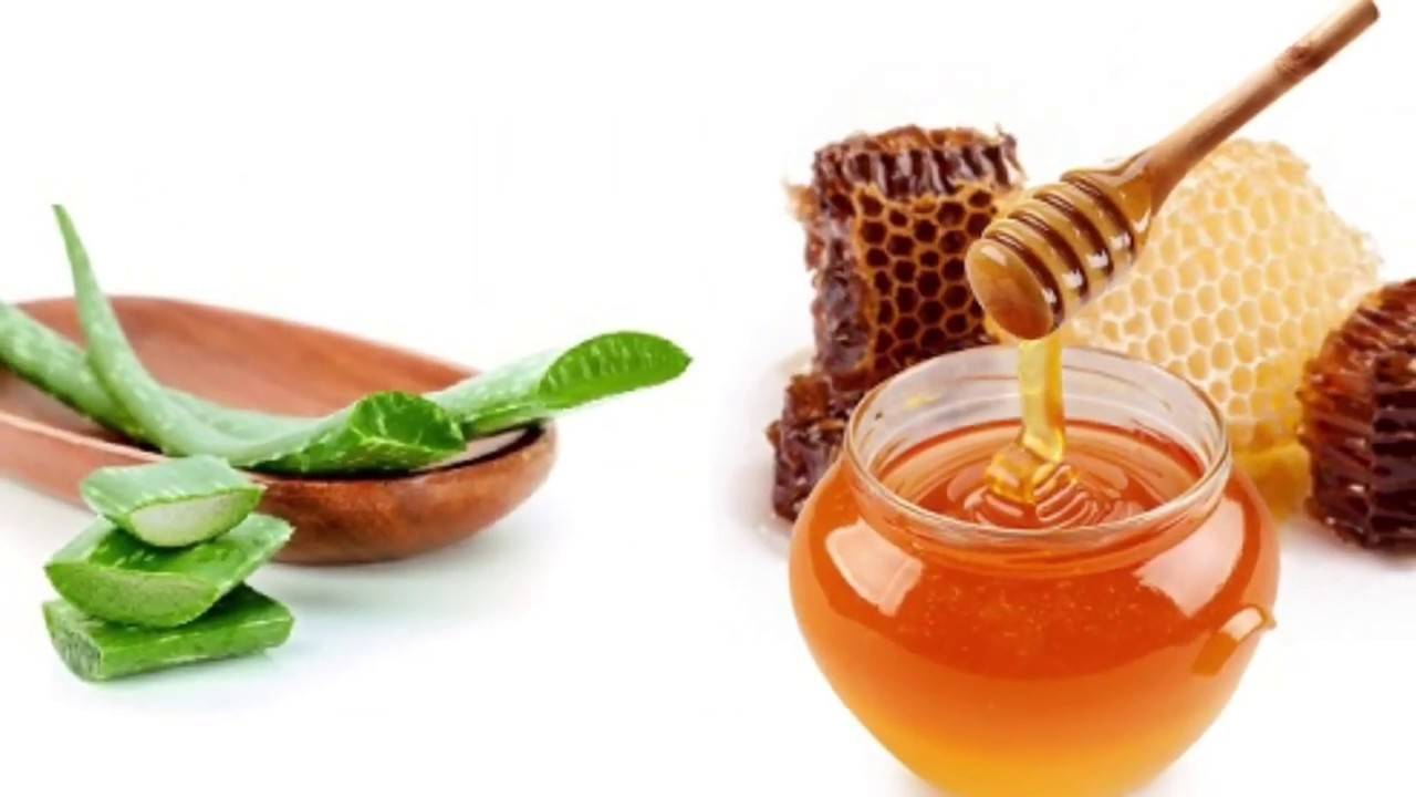Лечение гастрита медом и алоэ: народные рецепты, инструкции и противопоказания для беременных