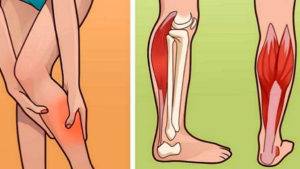 Тянущая боль в ноге от бедра до стопы: чем лечить, почему тянет ногу