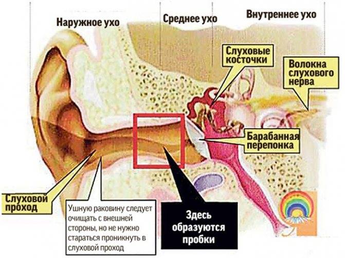 Пульсация в ухе без боли - возможные причины и лечение