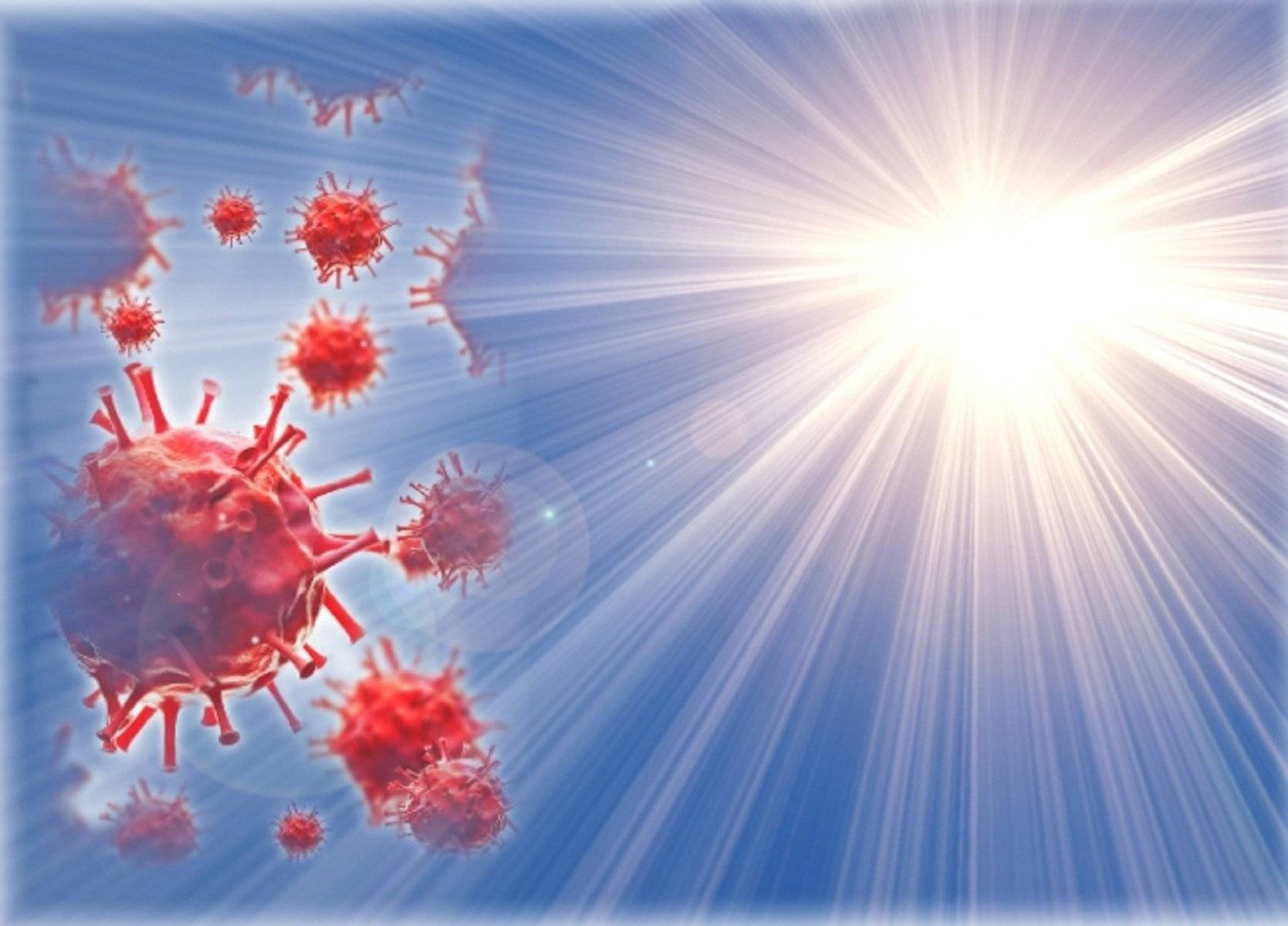Сколько живет коронавирус во внешней среде – выживаемость 2019-ncov