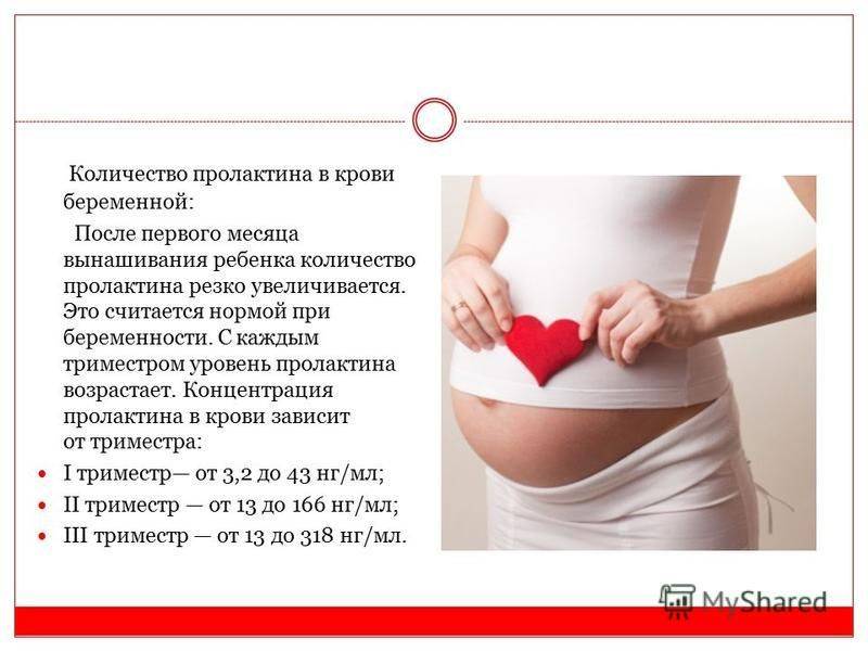 Пролактин и беременность: можно ли забеременеть при повышенном пролактине / mama66.ru
