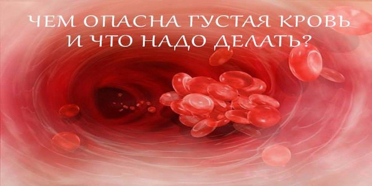 Густая кровь в организме