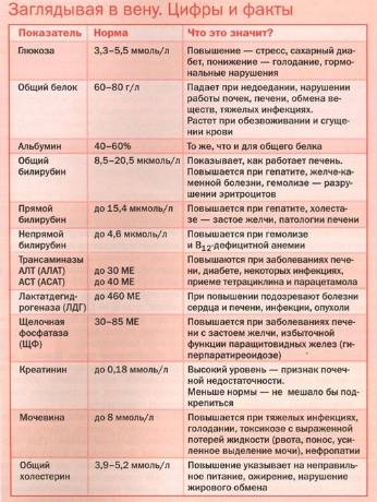Билирубин в крови - таблица нормы для детей и взрослых. причины повышенного билирубина в крови и как понизить