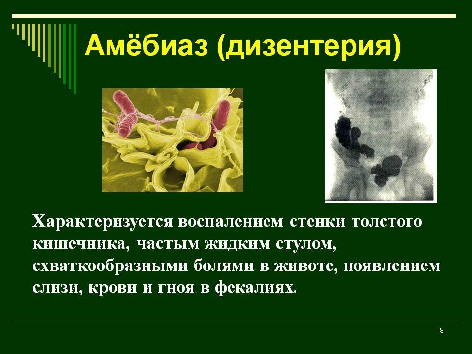 Амебная дизентерия у человека: симптомы, методы диагностики и схема лечения - sammedic.ru