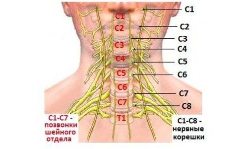 Болит шея – возможные причины и способы лечения